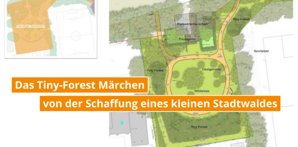 Das Tiny-Forest-Märchen, aber gefällte Bäume können nicht in der Stadt nachgepflanzt werden