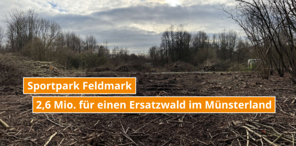 Sportpark Feldmark - 2,6 Mio. für einen Ersatzwald im Münsterland 